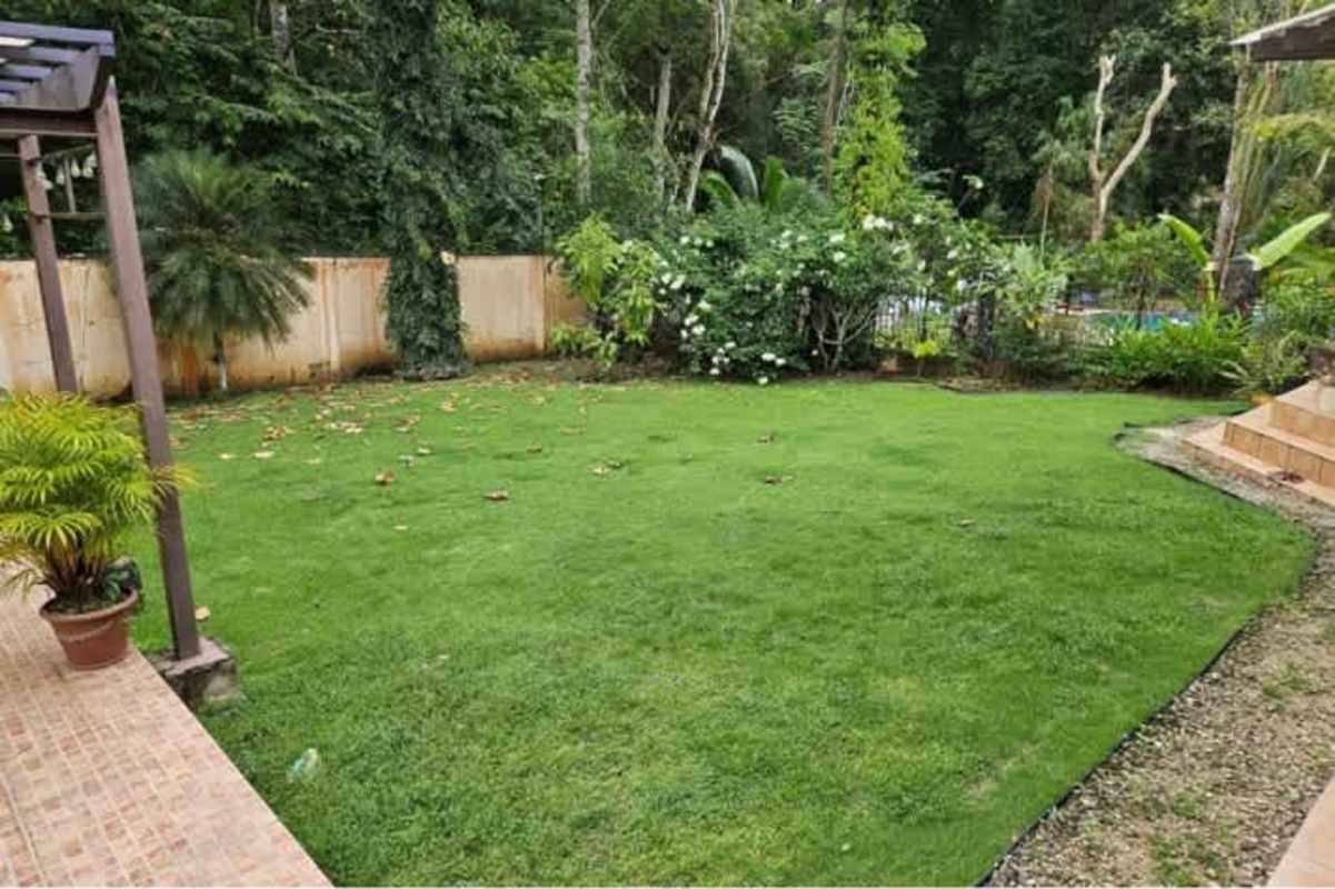 Backyard with pergola, jacuzzi, tropical landscaping at Camino de Cruces Panama