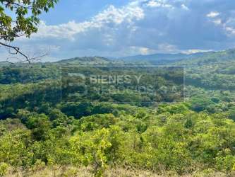 Dense green forest by river in scenic mountain setting in Panama Chiriqui Highlands property for sale