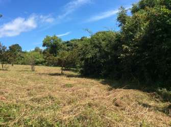 Vacant titled land plot near Bijao beach Penonomé Coclé Panama