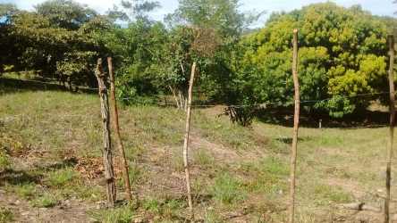 Large natural land with fruit trees near Playa Bijao beach Coclé