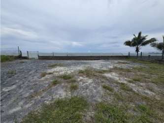 Open grassy beach lot with mature trees and fencing at Malibu Beach Gorgona Panama