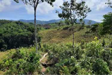Undulating rural land with Pacific Ocean views in Pixvae Veraguas Panama