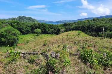 Estate land with riverbank and access trails dotted with fruit trees in Pixvae Panama