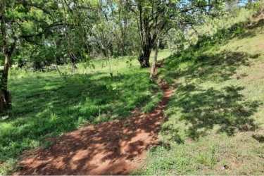Expansive land parcel with ocean and Coiba Island views amid lush tropical countryside in Pixvae Panama