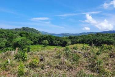 Wide open natural land with ocean horizon and tropical hills Pixvae Panama