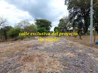 Flat wooded lot with mature trees ideal eco retreat site near beaches in Panama