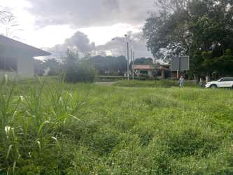 Vacant residential corner lot with green grass and trees for sale Chitré Panama
