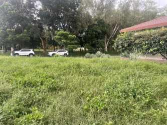 Open green lot with trees and neighboring houses in El Vigía Chitré Panama