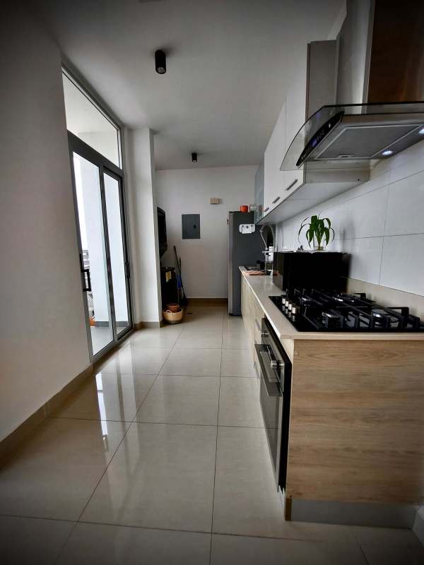 Minimalist kitchen with wood cabinetry and stainless appliances PH South Coast San Francisco Panama