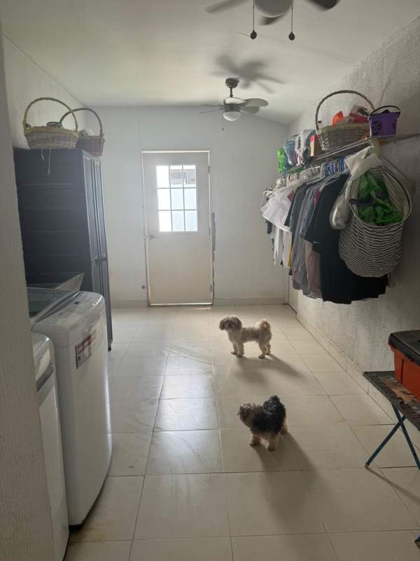 Modern living room workspace with TV, large windows Costa Sur Panama