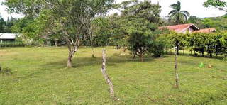 Lot/Land for Sale in Antón - 0 bedrooms
