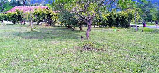Open grassy plot of residential land with trees and scenic mountain view in El Valle de Antón Panama