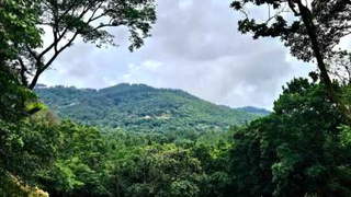 Land / Lot for Sale in Altos del María - 0 bedrooms