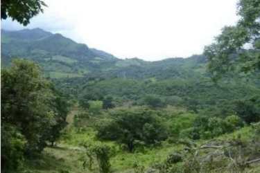 Scenic mountain terrain with rolling green hills and forest countryside investment farm land Panama