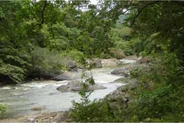 Beautiful natural riverbank with rocks and greenery on farmland Panama Oeste