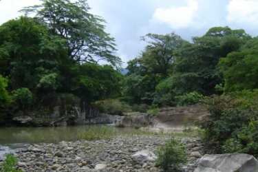 River access with rocks and forest vegetation farmland Panama Oeste Sora Chame