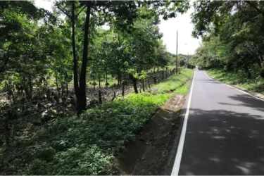 Paved rural road next to wooded boundary fence farmland for sale Panama Chame