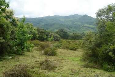Wide open green fields bordered by forest with mountain views on large acreage Panama