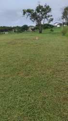 Large countryside buildable lot with greenery near Penonomé Central Panama