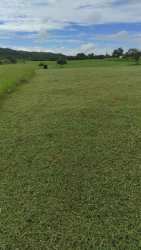 Flat field with trees under blue sky in rural Coclé Panama