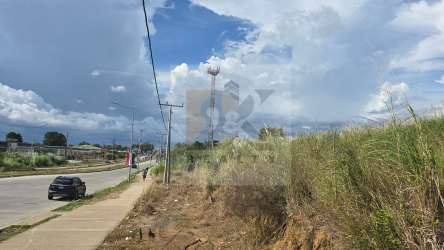 Large vacant lot with utility poles and road view Vacamonte Panama