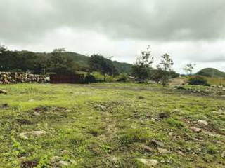 Land for Sale in Alto Boquete - 0 bedrooms