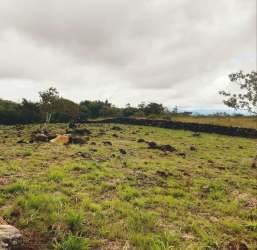 Open 3,000m2 lot with stone boundary wall, grass, trees, in Alto Boquete for sale