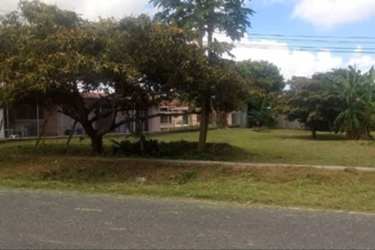 Quiet residential street with sidewalks, front yards, trees, and utility poles Las Lajas Chame Panama