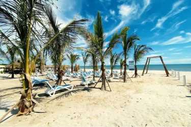 Beachfront tropical playground with palm trees ocean view at PH Ventanas del Mar