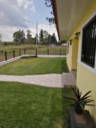 Fenced spacious garden with mature trees in Potrerillos rural house, Panama Chiriquí.