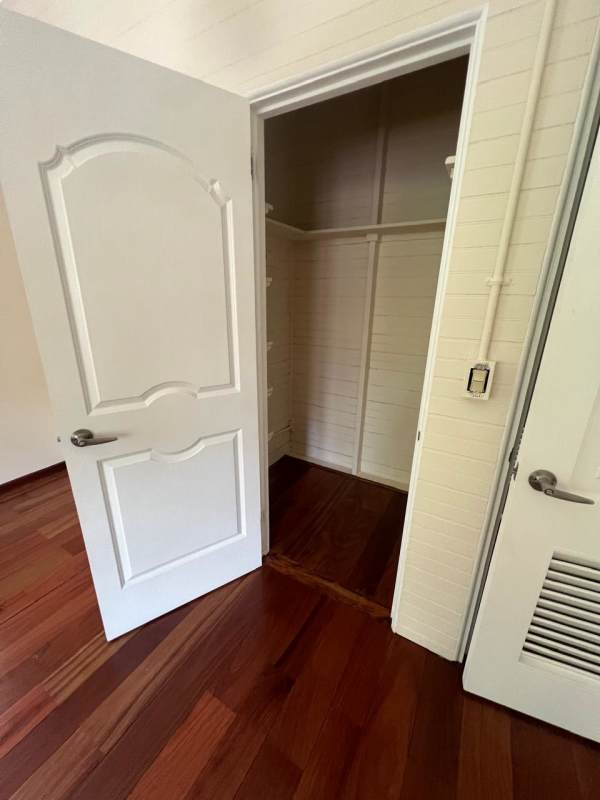 Lush backyard garden area with mature trees in duplex property Clayton Panama