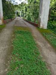 Land survey map with coordinates, boundary lines, river crossing of large Penonomé Coclé property