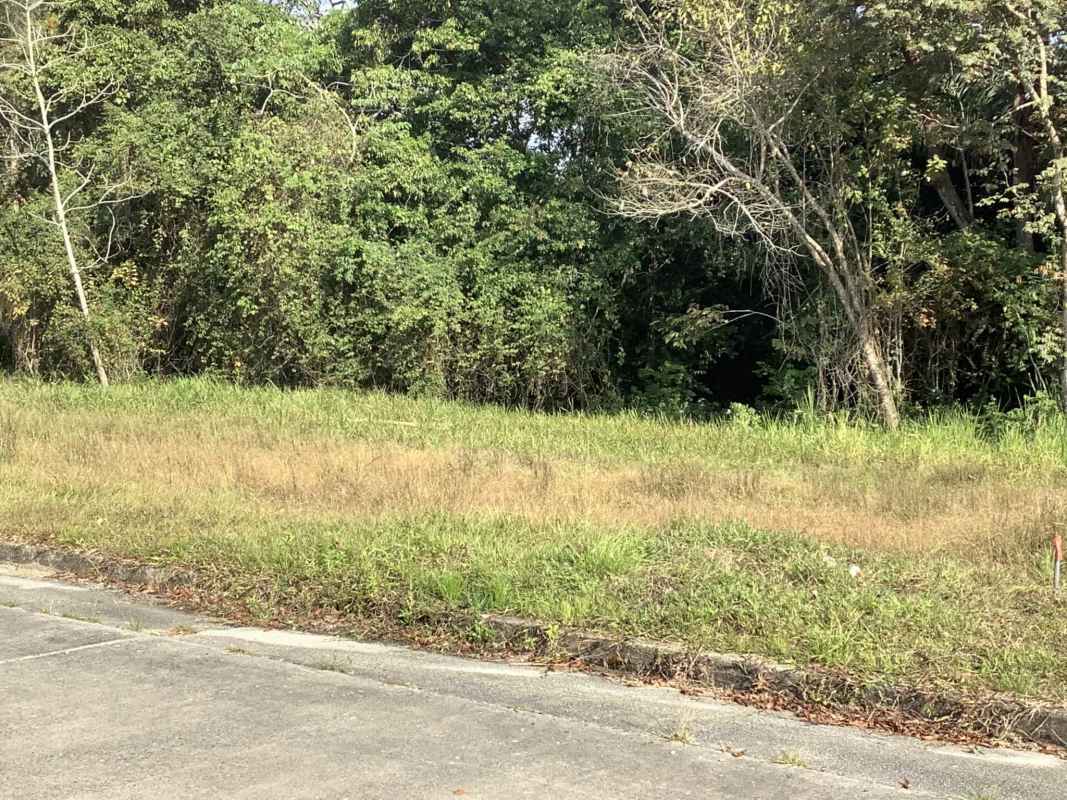Large undeveloped lot with grass and mature trees in private golf residential community Panama