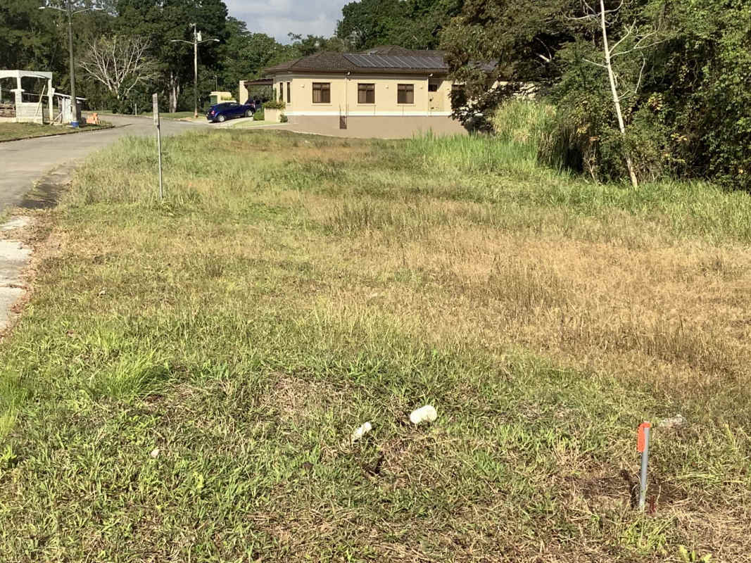 Vacant grassy golf front lot surrounded by trees in private Brisas del Golf Panama community