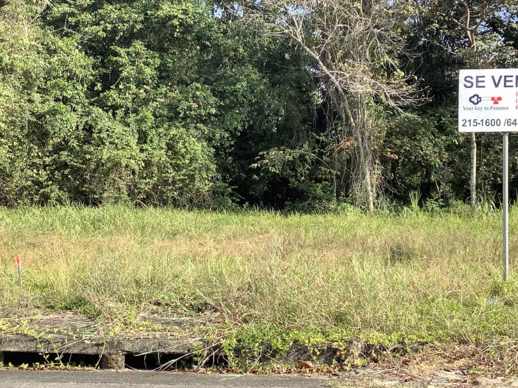 Large buildable golf course lot with natural wooded borders in Brisas del Golf Panama