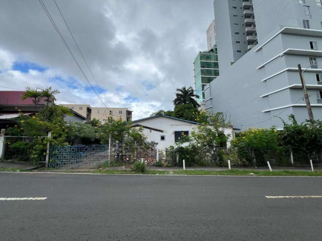 Garden and driveway area on commercial lot for rent near Vía Porras Panama City