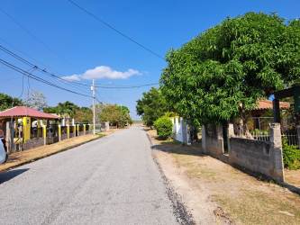 Quiet residential street with trees and fenced homes near Rio Hato Panama