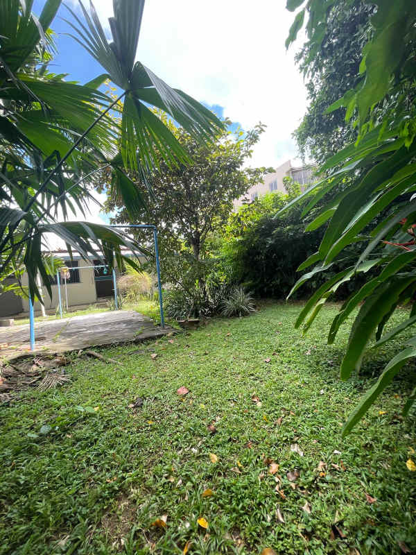 Private backyard garden with trees and grass commercial development site Panama City