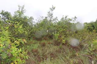 Land for Sale in Toabré - 0 bedrooms