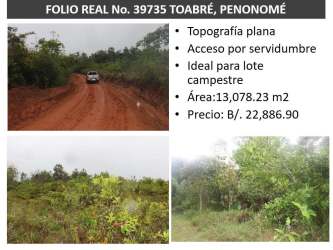 Dirt road flat countryside land with vegetation Toabré Coclé Panama