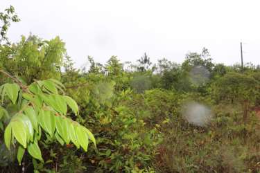 Rural lot access dirt road power infrastructure Toabré Penonomé Coclé