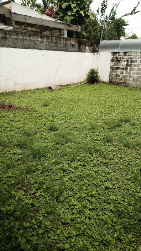 Backyard yard area with green grass enclosed by concrete walls commercial building Panama