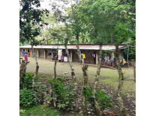 Farm & Land for Sale in Renacimiento - 1 bedroom