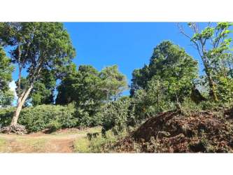 Farm trails through lush tropical vegetation in coffee and cattle farm Montelirio Panama