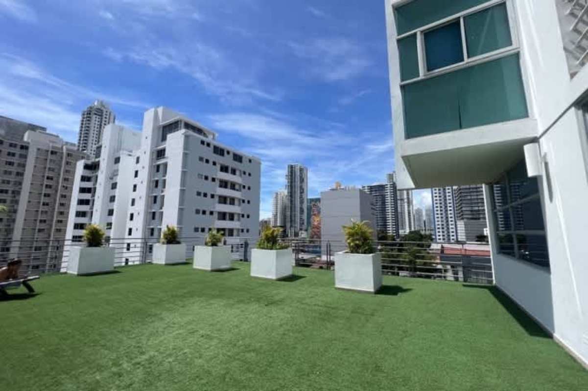 Rooftop terrace garden with plants, artificial grass, overlooking Panama skyline