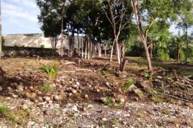 Commercial Land for Sale Paso Canoas Border Panama | Casa Nova Realty - View 8