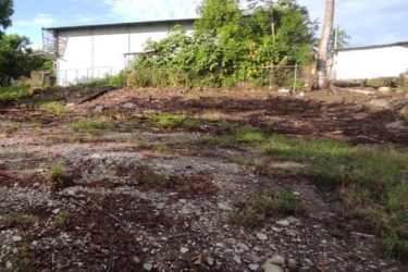 Commercial Land for Sale Paso Canoas Border Panama | Casa Nova Realty - View 10