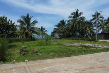 Vacant beachfront lot with palms near paved road on Caribbean coast Punta Grande Panama