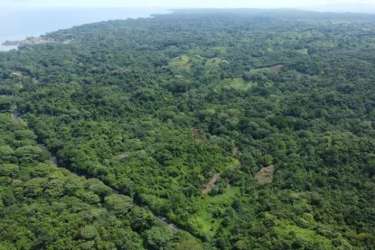 Dense green Caribbean forest and sandy coast on sprawling beachfront development property in Panama