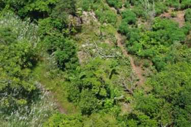 Aerial of forested property beside sandy beach with ocean views, prime land for tourism Panama Caribbean